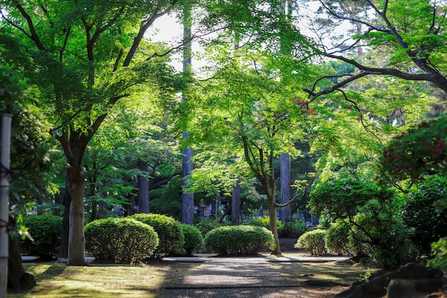 Royal Horticultural Society Garden Rosemoor