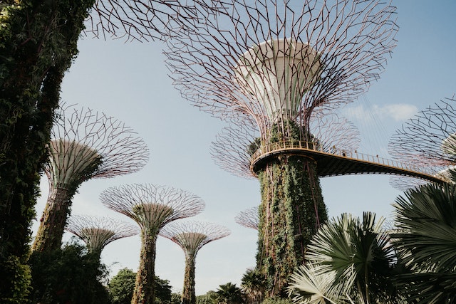 Botanic Gardens of Singapore